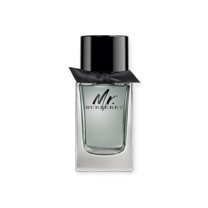 Burberry MR. Burberry EDT TR 100 M - Image 1