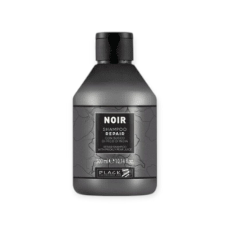 Black Ш-н с Кактус  Noir 300 мл - Image 1