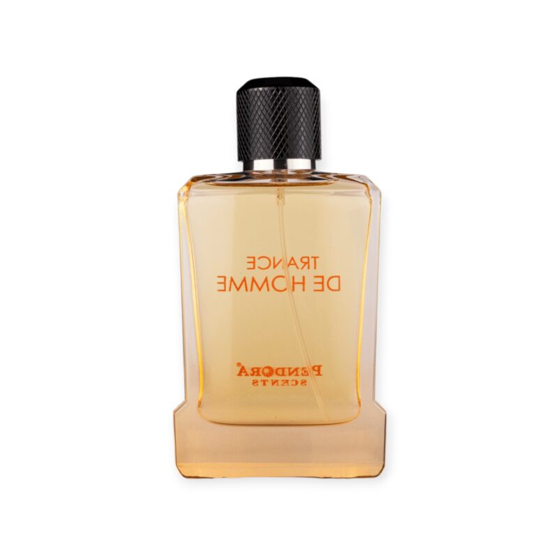Pendora Scents Trance De Homme EDP 100 M - Image 1
